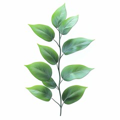Obraz premium plant with only five willow plant leaves, lush green color, thin and natural-looking stem, no roots, no soil