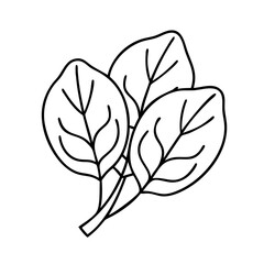 spinach leaves icon, spinach leaves line art - simple line art of spinach leaves, perfect for spinach leaves logos and icons