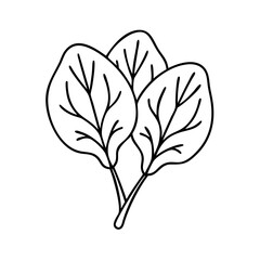 spinach leaves icon, spinach leaves line art - simple line art of spinach leaves, perfect for spinach leaves logos and icons