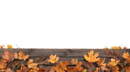 Autumn Leaves and Wood Border on Transparent Background.