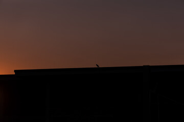 sunset in the sky