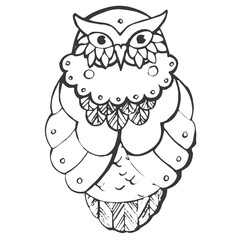 Hand-drawn Owl Sketch Illustration