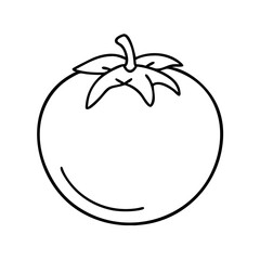 tomato icon, tomato line art - simple line art of tomato, perfect for tomato logos and icons