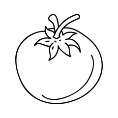 tomato icon, tomato line art - simple line art of tomato, perfect for tomato logos and icons