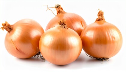 onions on white background