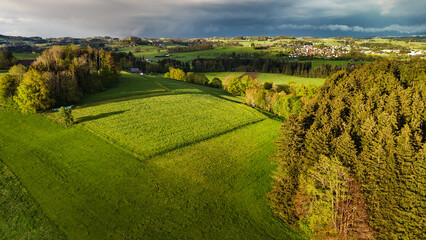 Obraz premium Forest and farmlands in dramatic spring light, Allgäu, southern Germany