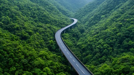 Eco-Friendly Highway Bridge Winding Through Dense Forest Landscape