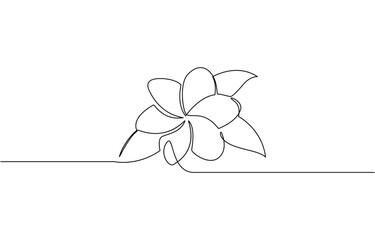 Plumeria flowers in continuous line art drawing style, Continuous line, frangipani flower line art vector illustration with white background editable stroke.
