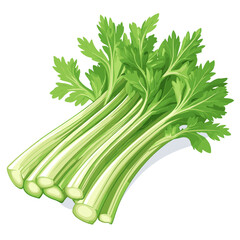 Fototapeta premium Vector illustration of celery sticks stems isolated on a white background