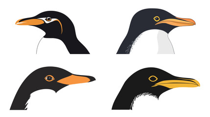 Obraz premium A head of Yellow-Eyed Penguin vector illustration.