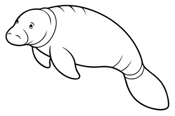 Graceful Manatee Sketch