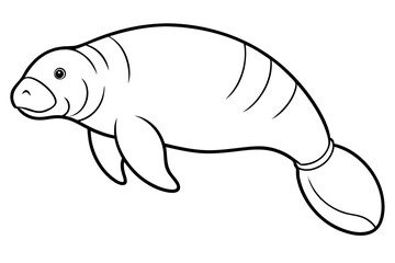 Graceful Manatee Sketch