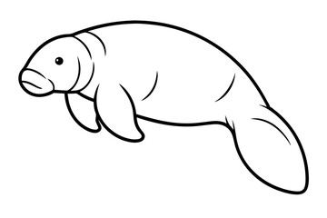 Graceful Manatee Sketch