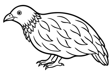 Kestrel Minimalist Line Art