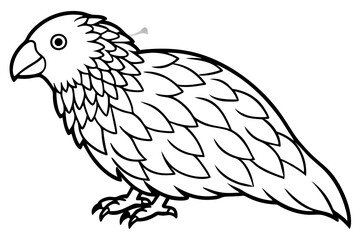 Kestrel Minimalist Line Art