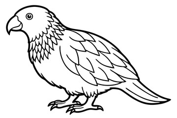 Kestrel Minimalist Line Art