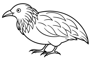 Kestrel Minimalist Line Art