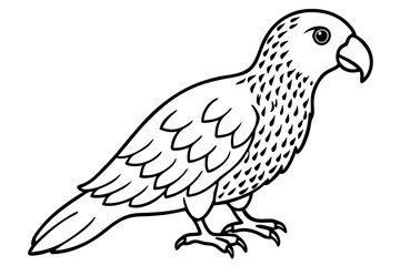 Kestrel Minimalist Line Art