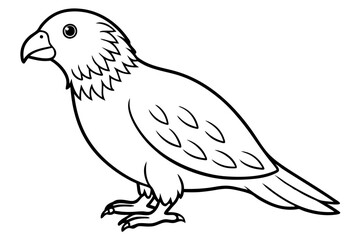 Kestrel Minimalist Line Art