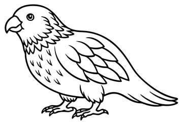 Kestrel Minimalist Line Art