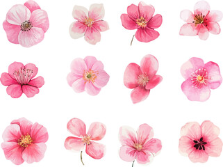 collage of pink flowers