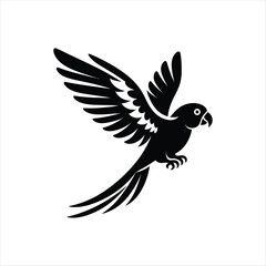 Obraz premium Bird silhoutte