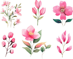 bouquet of pink roses