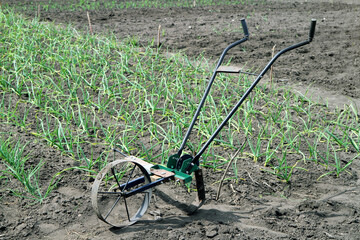 Manual cultivation of land on the farm with a hand cultivator.