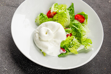 Salad burrata cheese buffalo milk cheese salad dish fresh gourmet food background on the table rustic food top view copy space keto and paleo diet vegetarian