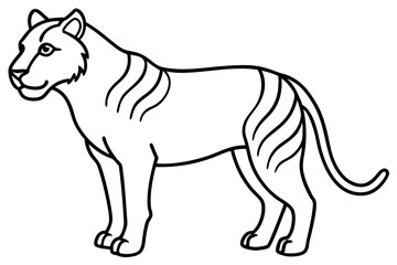 Liger Ink Line Vector