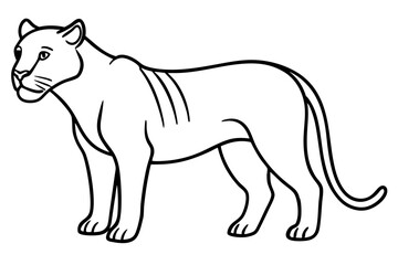 Liger Ink Line Vector