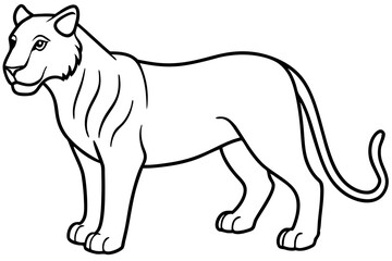 Liger Ink Line Vector
