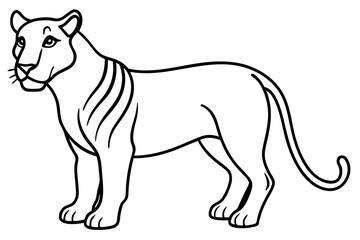 Liger Ink Line Vector