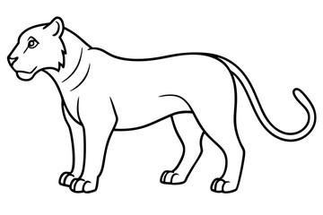 Liger Ink Line Vector