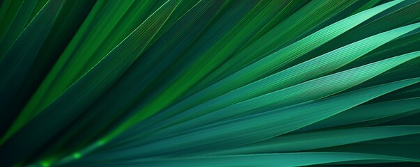 Tropical Plant Leaves Texture: Close-up of vibrant green tropical plant leaves, showcasing intricate textures and radiating lines.  The image evokes a sense of lushness and tranquility.
