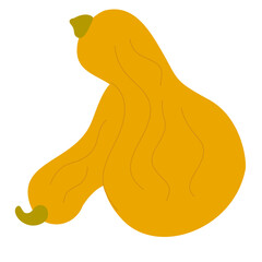 yellow pumpkin isolated on white background 