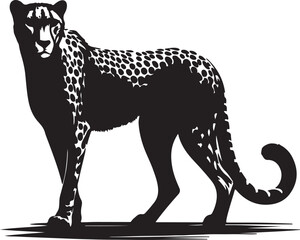 Fototapeta premium Cheetah black and white silhouette vector