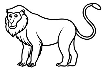 Mandrill Outline Vector