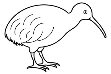 Minimal Kiwi Line Art