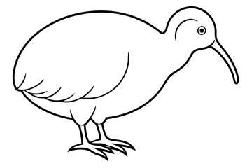 Minimal Kiwi Line Art