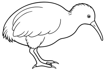 Minimal Kiwi Line Art