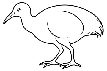 Minimal Kiwi Line Art