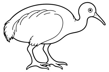 Minimal Kiwi Line Art