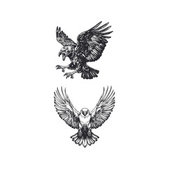 Obraz premium Angry mighty eagle flying design vector template illustration