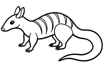 Fototapeta premium Minimal Numbat Line Art
