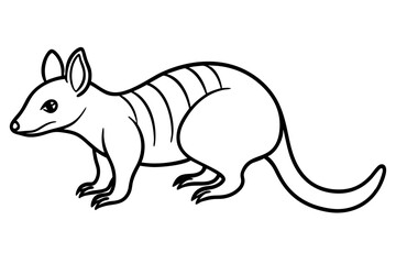 Fototapeta premium Minimal Numbat Line Art