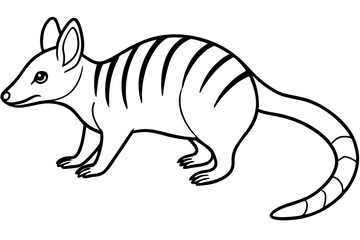 Minimal Numbat Line Art