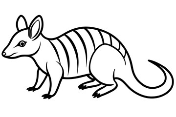 Fototapeta premium Minimal Numbat Line Art