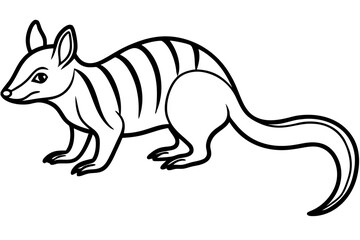 Minimal Numbat Line Art