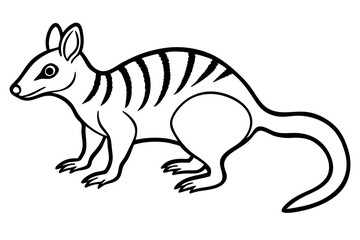 Obraz premium Minimal Numbat Line Art